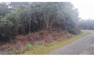 LFL-362-Lote Rural-Colinas San Sebastián-El Retiro-Carrizales