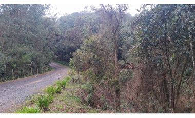 LFL-362-Lote Rural-Colinas San Sebastián-El Retiro-Carrizales