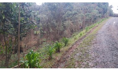 LFL-362-Lote Rural-Colinas San Sebastián-El Retiro-Carrizales