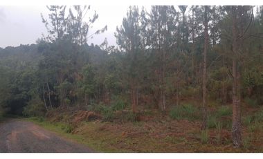 LFL-362-Lote Rural-Colinas San Sebastián-El Retiro-Carrizales