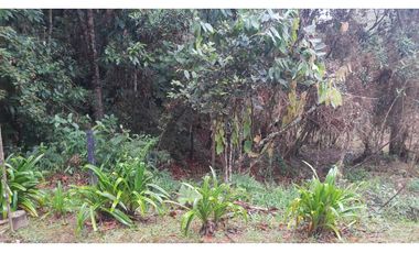 LFL-362-Lote Rural-Colinas San Sebastián-El Retiro-Carrizales