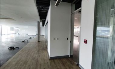 Arriendo Edificio En Morato
