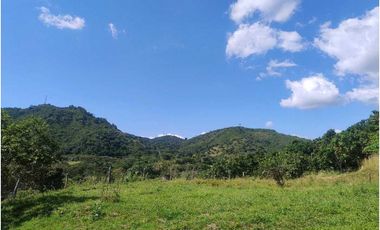 Finca Rural en Anapoima