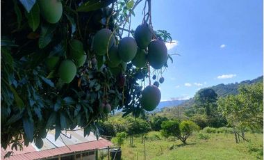 Finca Rural en Anapoima