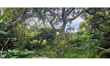 Lote en el Tablazo  262501