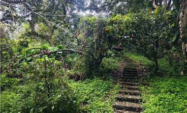 Lote en el Tablazo  262501