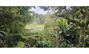 Lote en el Tablazo  262501