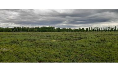 Exclusiva finca en venta |8 hectáreas |calle el lamo Tupungato