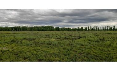 Exclusiva finca en venta |8 hectáreas |calle el lamo Tupungato