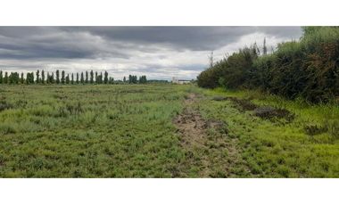 Exclusiva finca en venta |8 hectáreas |calle el lamo Tupungato