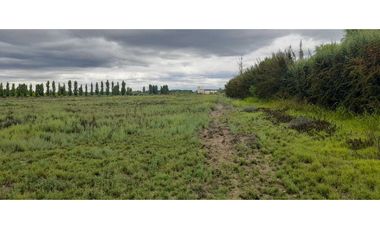 Exclusiva finca en venta |8 hectáreas |calle el lamo Tupungato