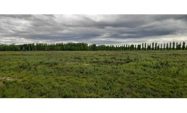 Exclusiva finca en venta |8 hectáreas |calle el lamo Tupungato