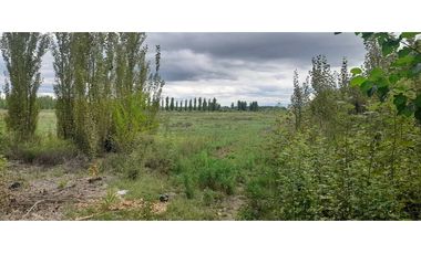 Exclusiva finca en venta |8 hectáreas |calle el lamo Tupungato