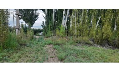 Exclusiva finca en venta |8 hectáreas |calle el lamo Tupungato