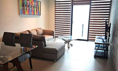 DEPARTAMENTO AMUEBLADO EN RENTA SAN PEDRO