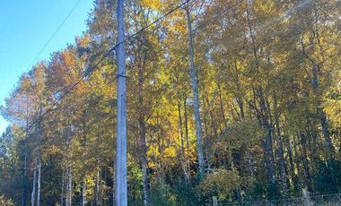 Parcela en venta en VILLARRICA