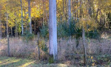 Parcela en venta en VILLARRICA