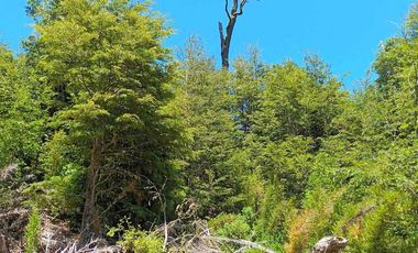 Parcela en venta en PANGUIPULLI