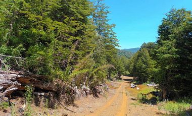 Parcela en venta en PANGUIPULLI