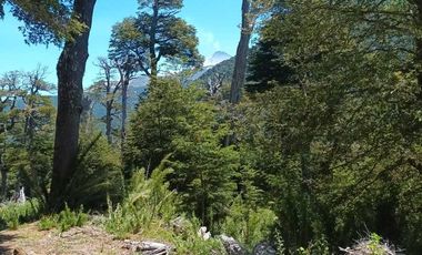 Parcela en venta en PANGUIPULLI