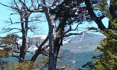 Parcela en venta en PANGUIPULLI