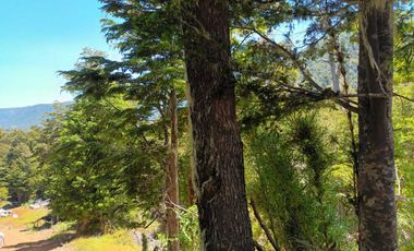 Parcela en venta en PANGUIPULLI