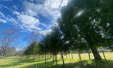 Parcela en venta en CUNCO