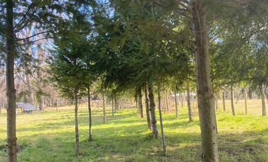 Parcela en venta en CUNCO