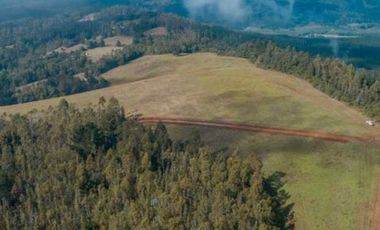 Parcela en venta  en PITRUFQUÉN