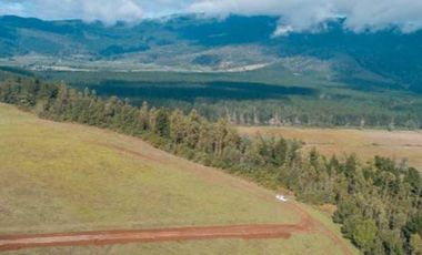 Parcela en venta  en PITRUFQUÉN