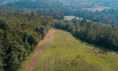 Parcela en venta  en PITRUFQUÉN