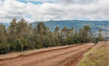 Parcela en venta  en PITRUFQUÉN