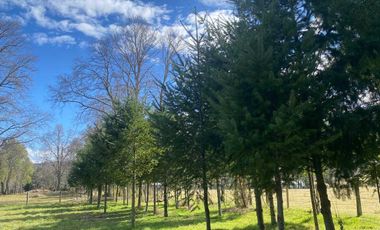 Parcela en venta en CUNCO