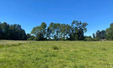 Parcela en venta  en VILCÚN