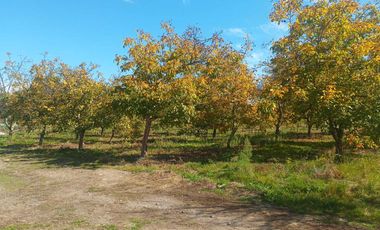 Parcela en venta  en COLBÚN