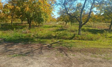 Parcela en venta  en COLBÚN