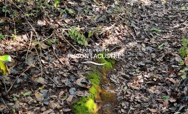 Parcela en venta en VILLARRICA