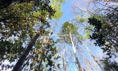 Parcela en venta en VILLARRICA