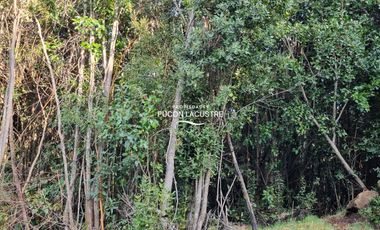 Parcela en venta en VILLARRICA