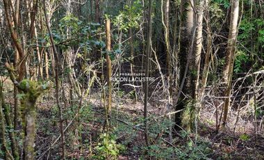 Parcela en venta en VILLARRICA