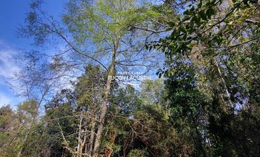 Parcela en venta en VILLARRICA