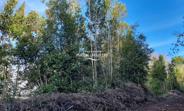 Parcela en venta en VILLARRICA