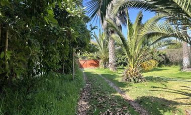 Parcela en Venta en HERMOSA PARCELA DE AGRADO CAMIO AL VALLE DE ELQUI, 20 MINUTOS DEL CENTRO DE LA SERENA