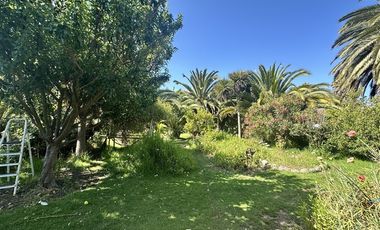 Parcela en Venta en HERMOSA PARCELA DE AGRADO CAMIO AL VALLE DE ELQUI, 20 MINUTOS DEL CENTRO DE LA SERENA