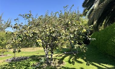 Parcela en Venta en HERMOSA PARCELA DE AGRADO CAMIO AL VALLE DE ELQUI, 20 MINUTOS DEL CENTRO DE LA SERENA