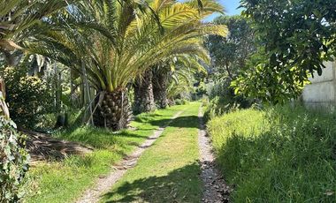 Parcela en Venta en HERMOSA PARCELA DE AGRADO CAMIO AL VALLE DE ELQUI, 20 MINUTOS DEL CENTRO DE LA SERENA