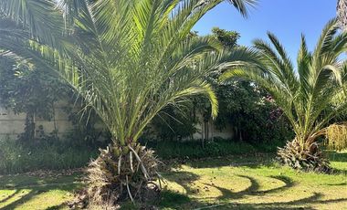 Parcela en Venta en HERMOSA PARCELA DE AGRADO CAMIO AL VALLE DE ELQUI, 20 MINUTOS DEL CENTRO DE LA SERENA