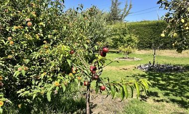 Parcela en Venta en HERMOSA PARCELA DE AGRADO CAMIO AL VALLE DE ELQUI, 20 MINUTOS DEL CENTRO DE LA SERENA