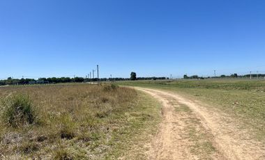 Venta Terreno  Barrio Vinelli - Lobos