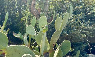 Casa en alquiler en Canning | Echeverria del Lago